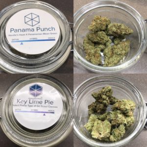 Panama Punch & Key Lime Pie